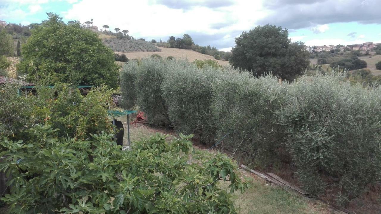 Agriturismo Cerquaglia โตดี ภายนอก รูปภาพ
