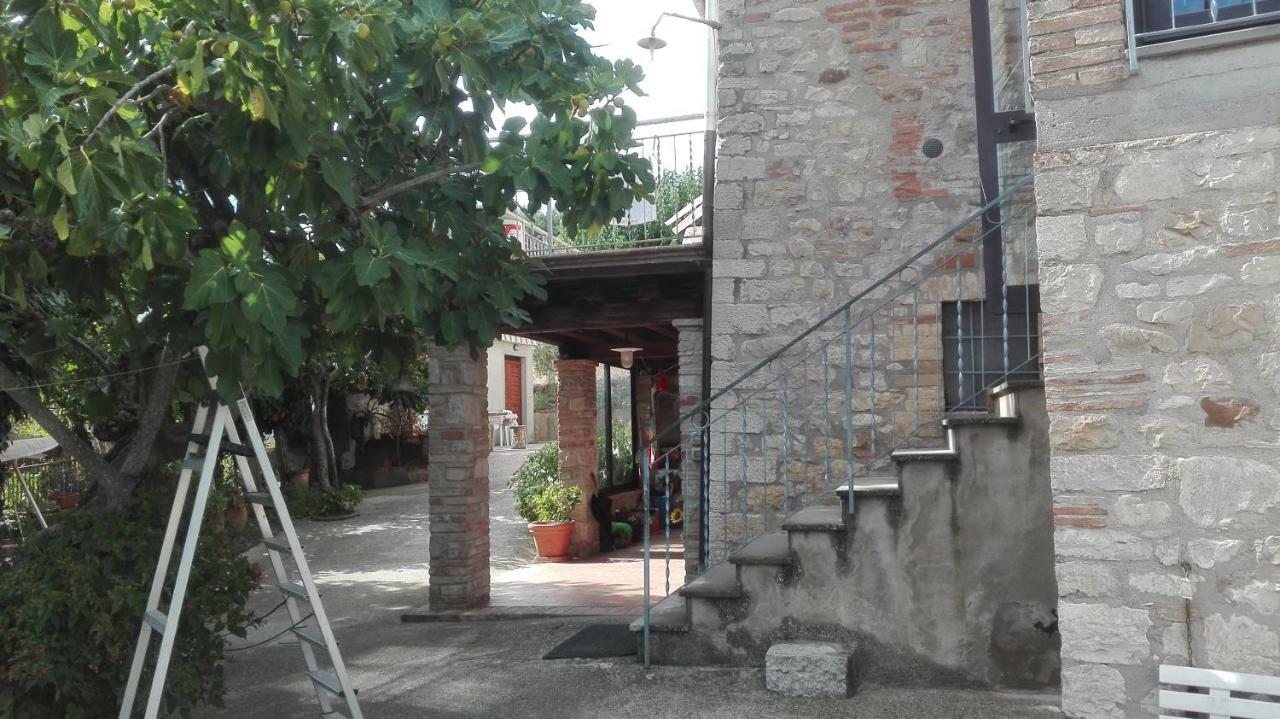 Agriturismo Cerquaglia โตดี ภายนอก รูปภาพ